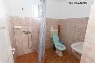 Гостевой дом Casa Selena Костинешти Трехместный номер с собственной ванной комнатой-2
